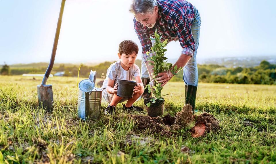 Inzittendenverzekering